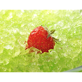 XO XOUIM1585NOP 15 Inch Built-In Ice Maker — thumbnail 27